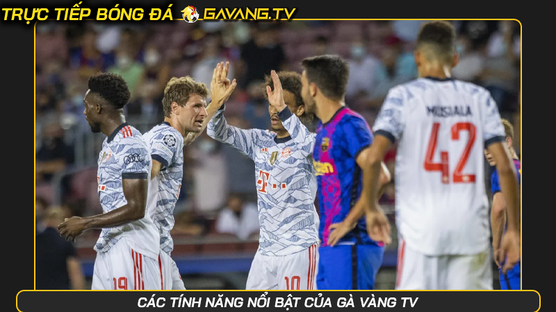 Gavangtv - Nền tảng trực tiếp bóng đá không bị chặn Gavang TV | Hình số 29 Các tính năng nổi bật của Gà Vàng TV