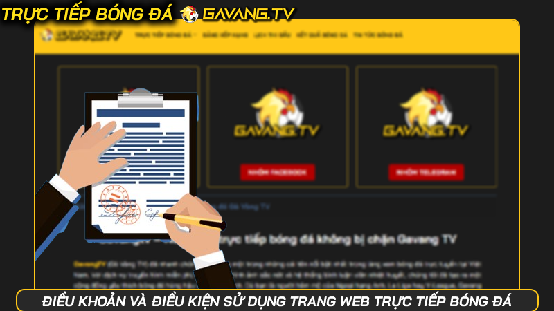 Điều khoản và điều kiện sử dụng trang web trực tiếp bóng đá | Hình số 2 Điều khoản và điều kiện sử dụng trang web trực tiếp bóng đá