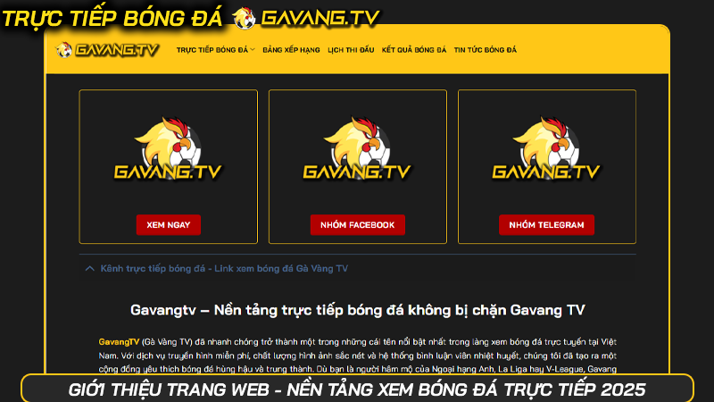 Giới thiệu trang web - Nền tảng xem bóng đá trực tiếp 2025 | Hình số 2 Giới thiệu trang web - Nền tảng xem bóng đá trực tiếp 2025