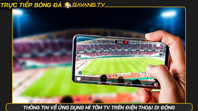 Thông tin về ứng dụng Mì Tôm TV trên điện thoại di động