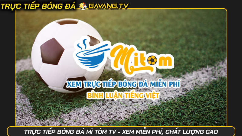 Trực tiếp bóng đá Mì Tôm TV