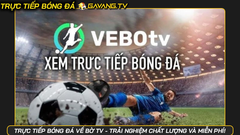 Trực tiếp bóng đá về bờ TV - Trải nghiệm chất lượng và miễn phí! | Hình số 4 Trực tiếp bóng đá về bờ TV